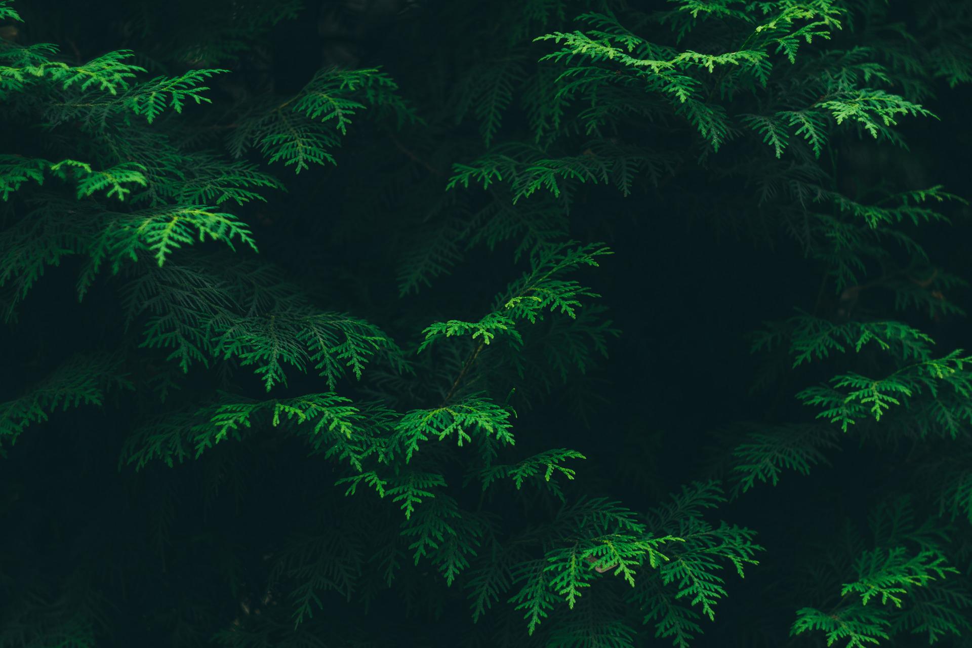 身份证读卡器读不出来怎么办(身份证读卡器读不出来是没安装驱动吗)